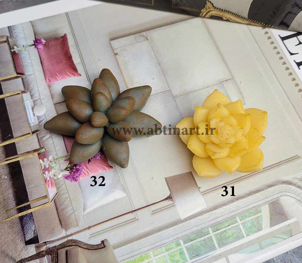 قالب سیلیکونی کاکتوس31&32