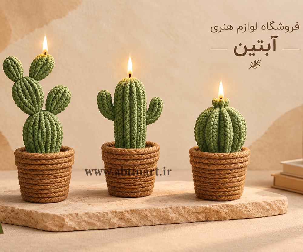 قالب سیلیکونی گلدان کاکتوس