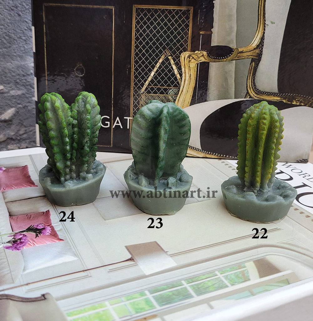 قالب سیلیکونی کاکتوس 22&23&24