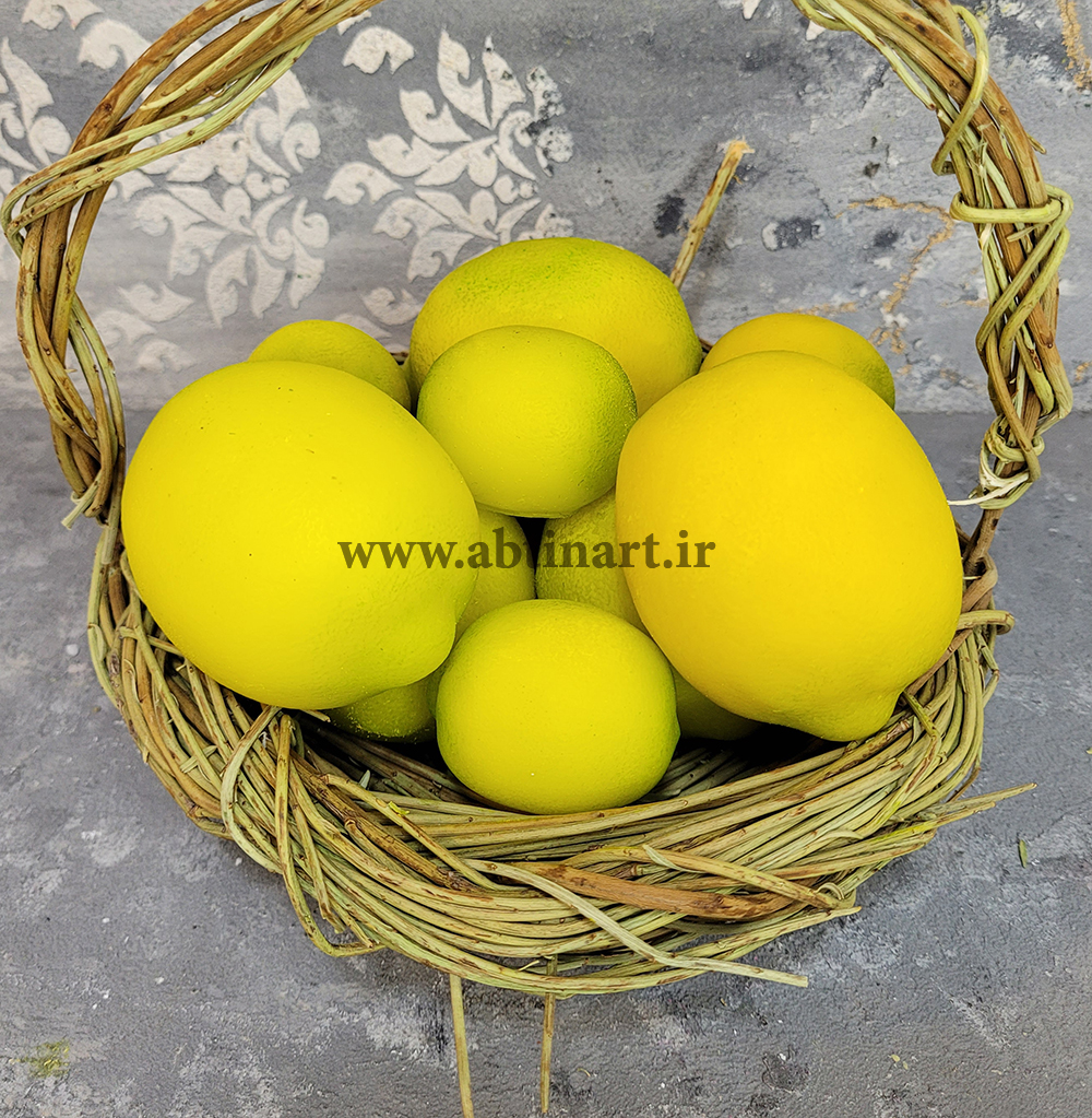 قالب سیلیکونی لیمو