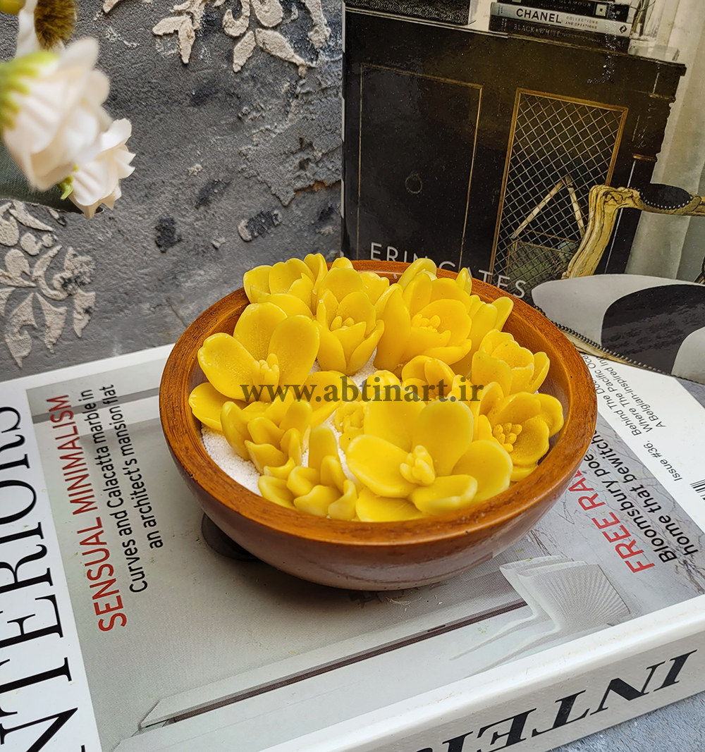 قالب سیلیکونی کاسه