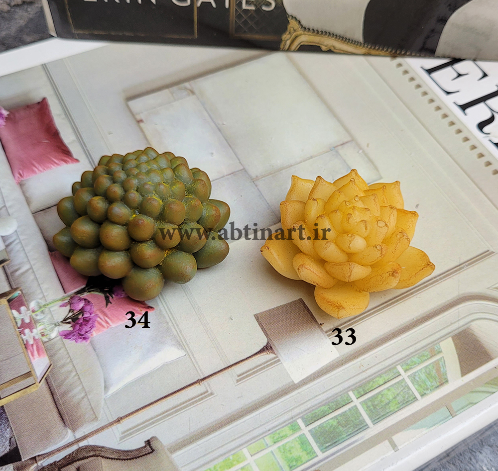 قالب سیلیکونی کاکتوس 33&34
