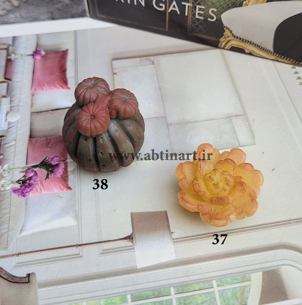 قالب سیلیکونی کاکتوس 37&38
